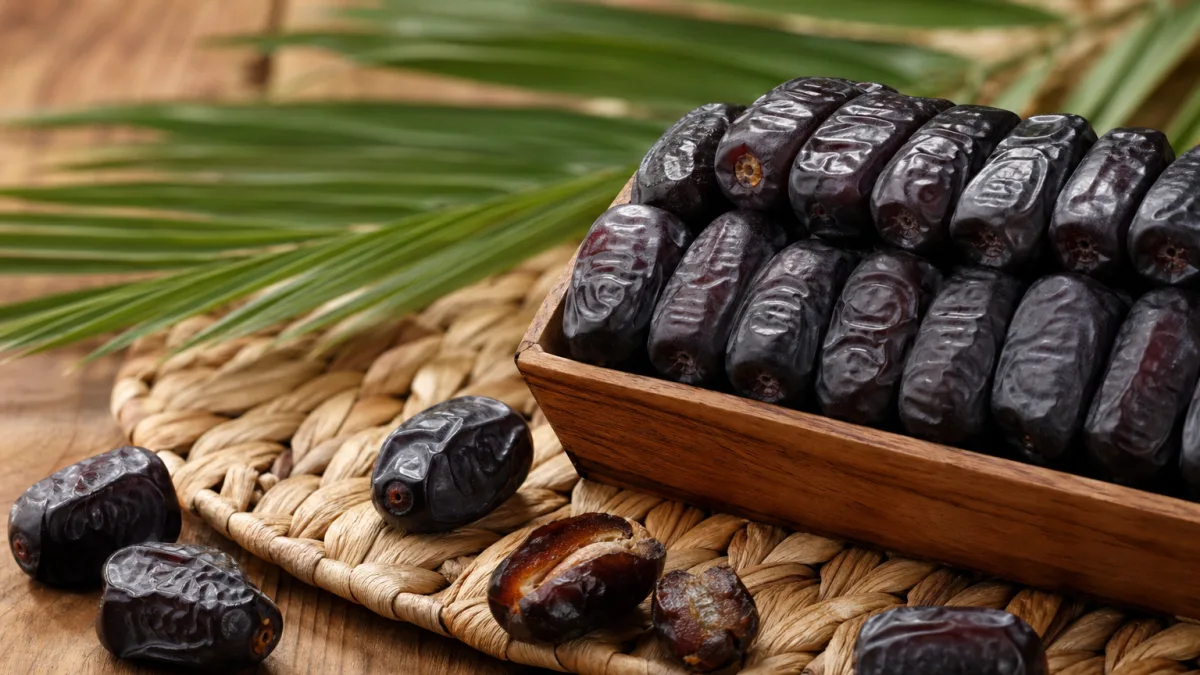 راهنمای فنی خرما مضافتی دو ردیفه
